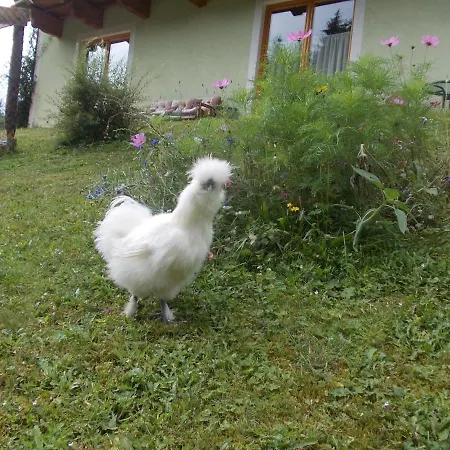 Heidi By Schladmingurlaub Apartman Ramsau am Dachstein