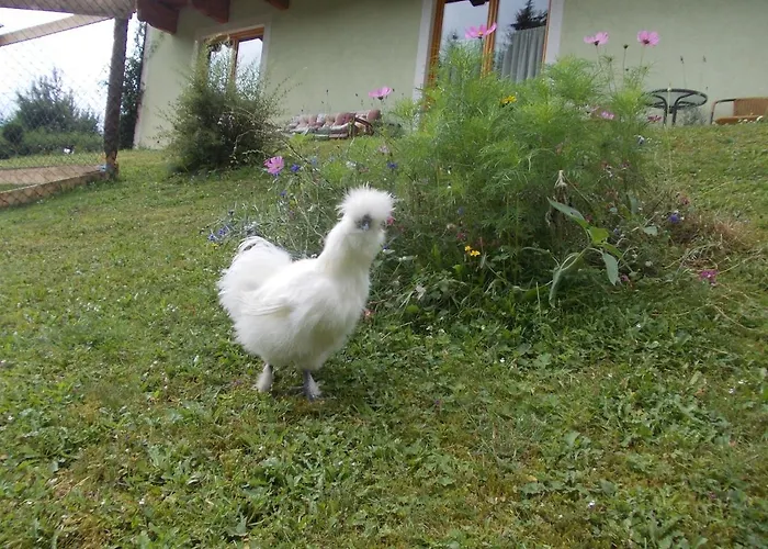 Heidi By Schladmingurlaub Appartement Ramsau am Dachstein