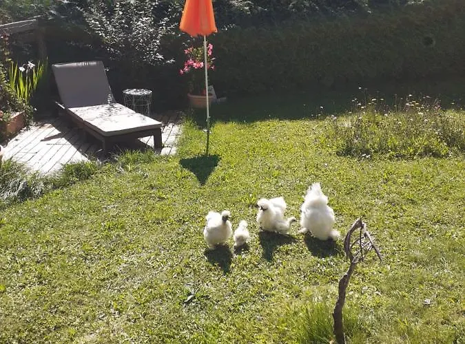 Heidi By Schladmingurlaub Appartamento Ramsau am Dachstein